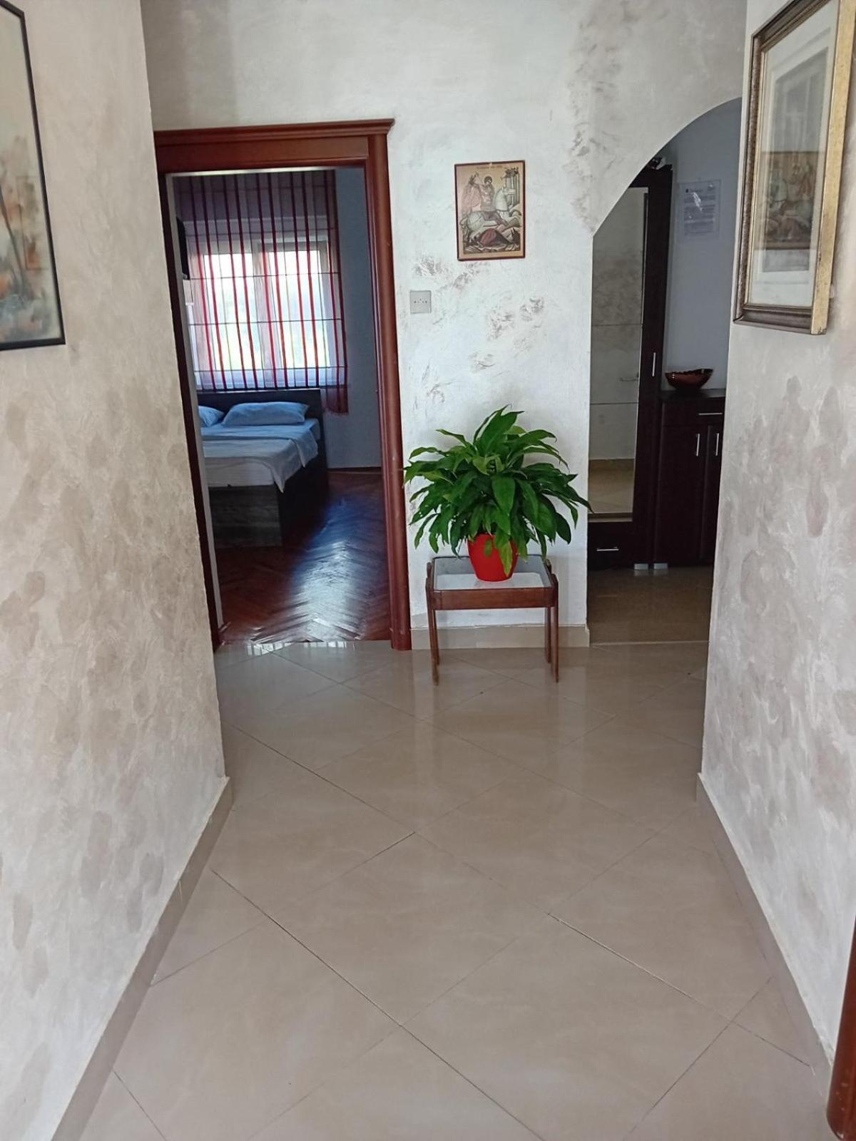 Apartments Vidikovac Inn 科托尔 外观 照片